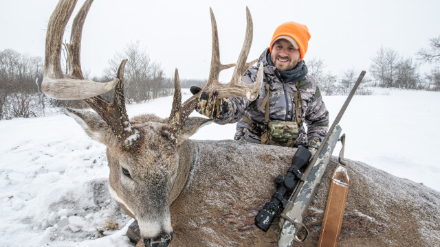 North American Whitetail