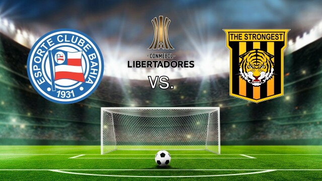 Copa Libertadores Soccer