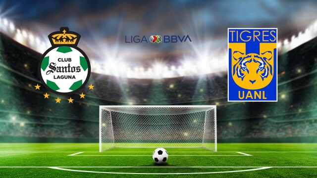 Fútbol Mexicano Primera División