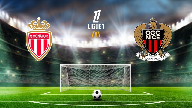 French Ligue 1 Soccer