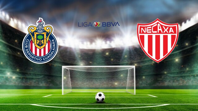 Fútbol Mexicano Primera División