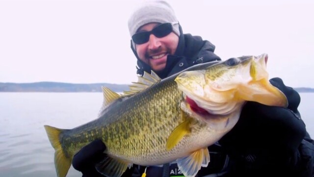 The Hunt for Monster Bass