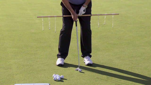 School of Golf