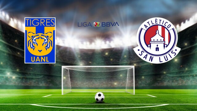 Fútbol Mexicano Primera División