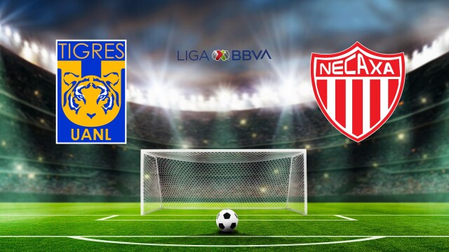 Liga MX Soccer