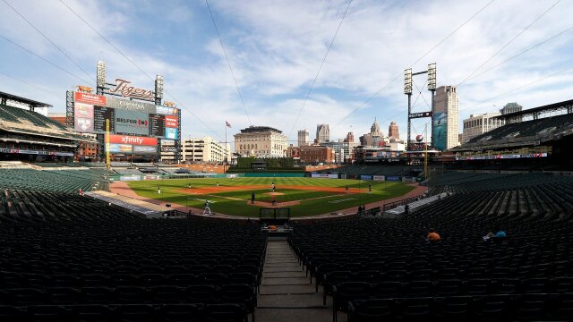Tigers Live