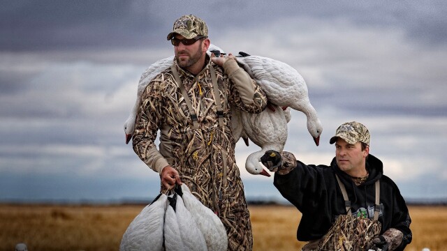 Waterfowl Obsession