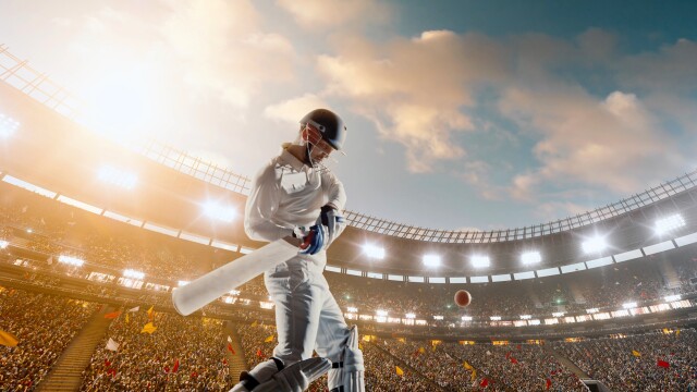 Cricket
