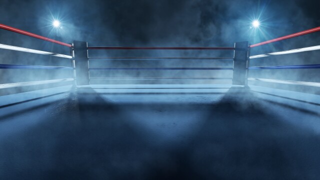 Elite Fight Night
