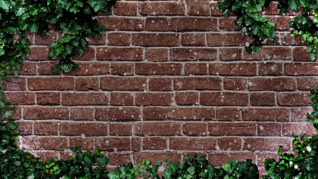 Road to the NHL Winter Classic