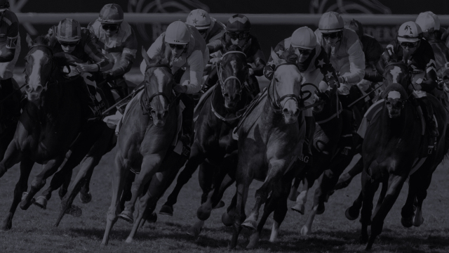 Daily Racing Form Weekend Preview