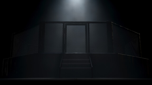 BKFC 54