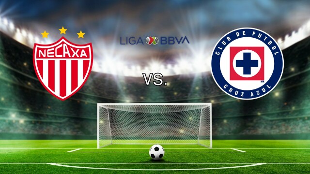 Fútbol Mexicano Primera División
