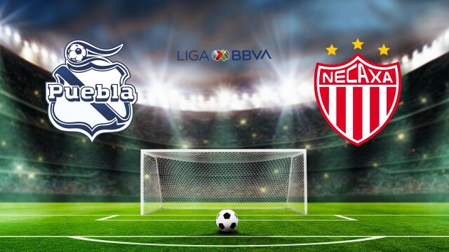 Fútbol Mexicano Primera División