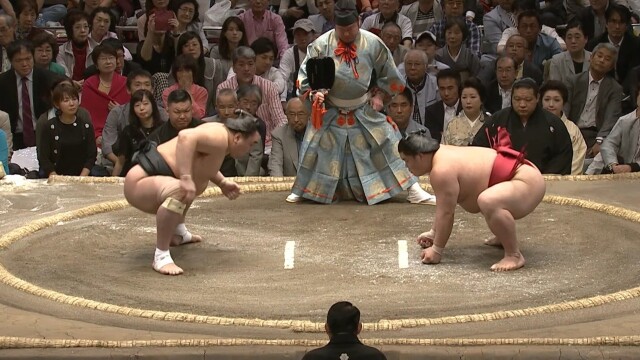 Sumopedia