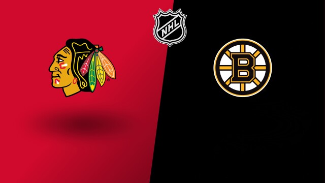 NHL Hockey