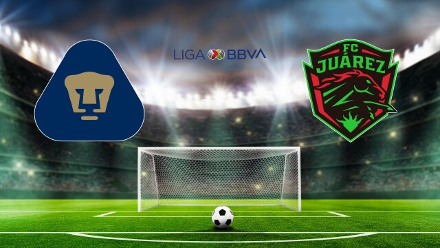 Fútbol Mexicano Primera División