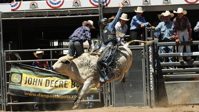 Little Britches Rodeo